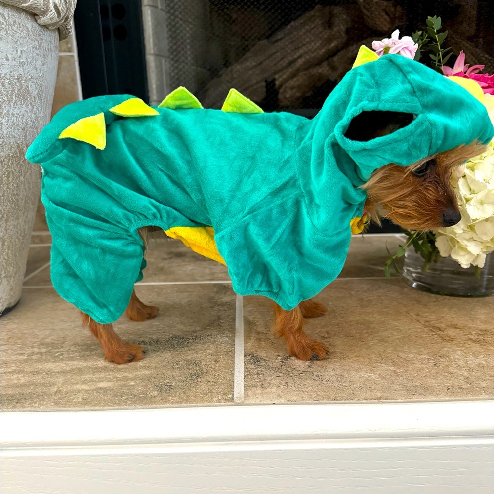 NWOT 10-20lb Dog Dinosaur Halloween Costume